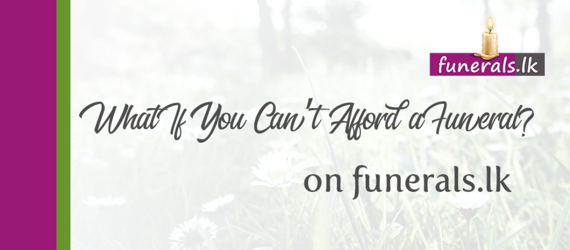 2022_01_31 preview image